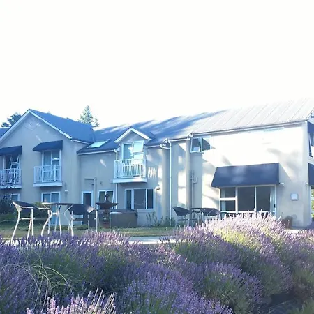 Lake Wanaka Lodge-3